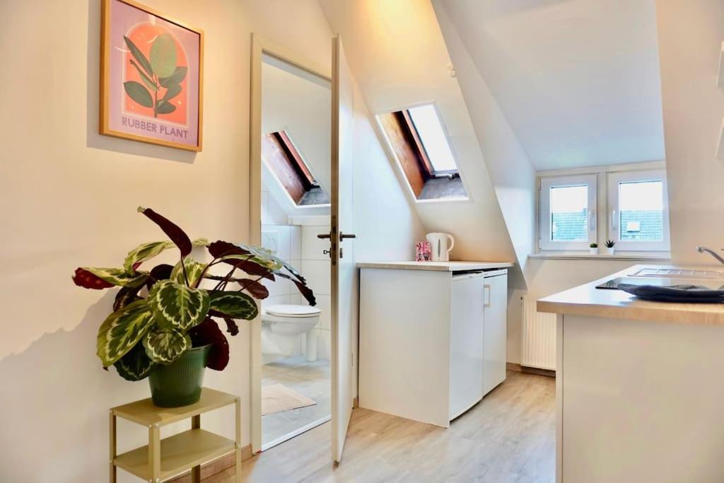 Neu I Moderne Zentrale Wohnung I Netflix I 4 Gaeste أندرناخ المظهر الخارجي الصورة